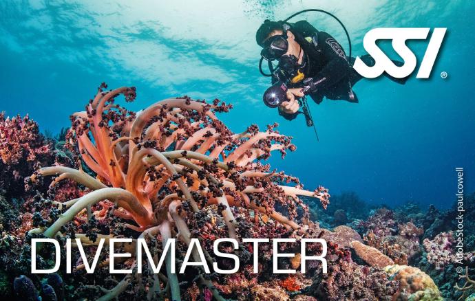Dive Master SSI
