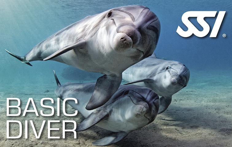 Basic Diver
